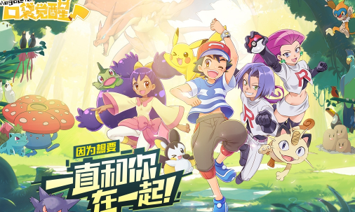 口袋觉醒破解版