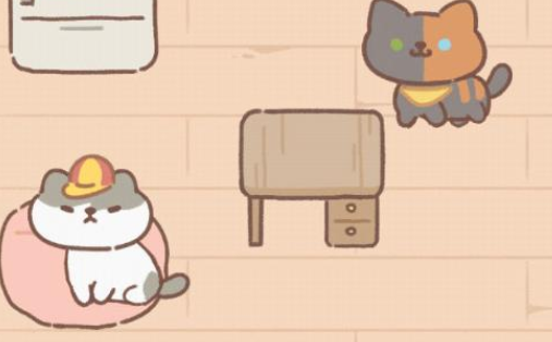 遇见你的猫耳少年
