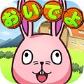 三只猫咪点头