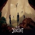 Blind Descent