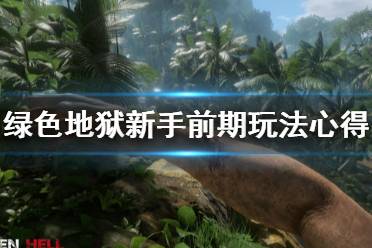 《丛林地狱》新手前期怎么玩
