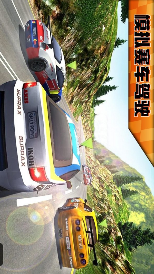 模拟赛车驾驶截图