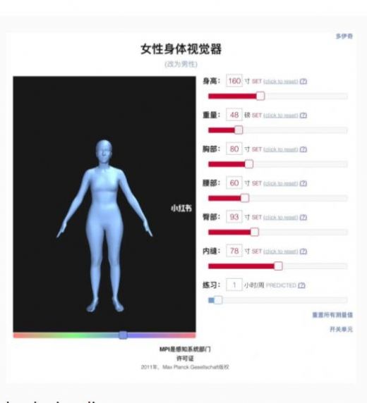 女士身材可视化修身工具截图