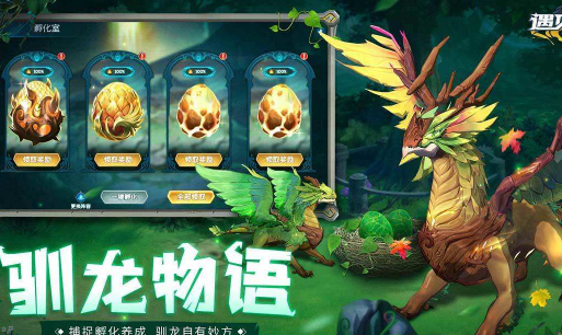 遇见龙龙族决战
