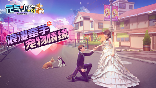 约克狗狗截图