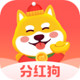 装扮可爱的小泰迪