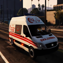 健康救护车司机模拟驾驶(Emergency Ambulance Driver and Paramedic Simulation)