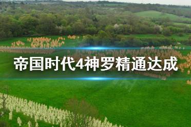 《帝国时代4》神罗精通怎么过