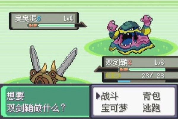 口袋妖怪绿宝石随机截图