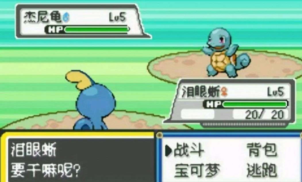 口袋妖怪绿宝石随机截图