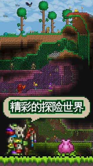 泰拉瑞亚物品截图