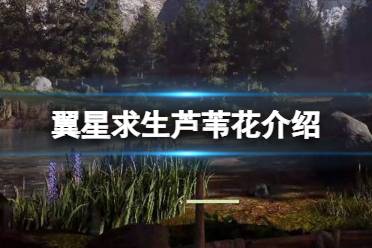 《翼星求生》芦苇花在哪里