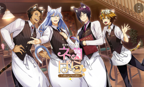 Catboys Paradise