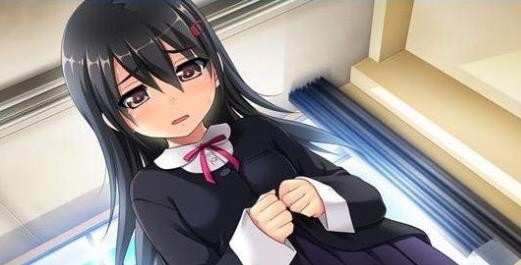 偷窃少女的教育方法截图