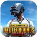 pubgm