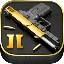 igun pro 2