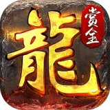 赏金传奇2