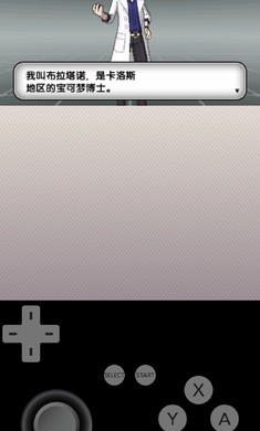 精灵宝可梦X全随机截图