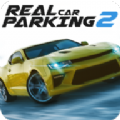 realcarparking2