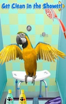 新生宠物兽医截图