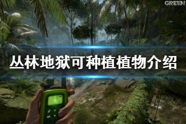 《丛林地狱》种植系统是什么