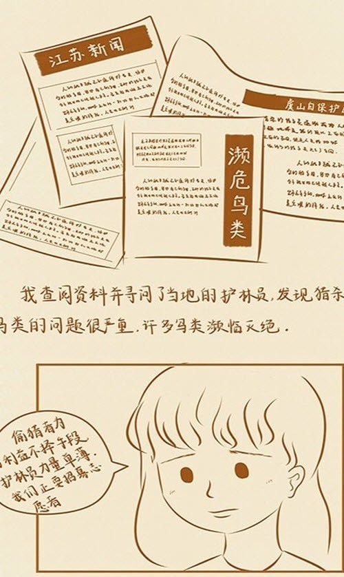 观鸟共栖截图
