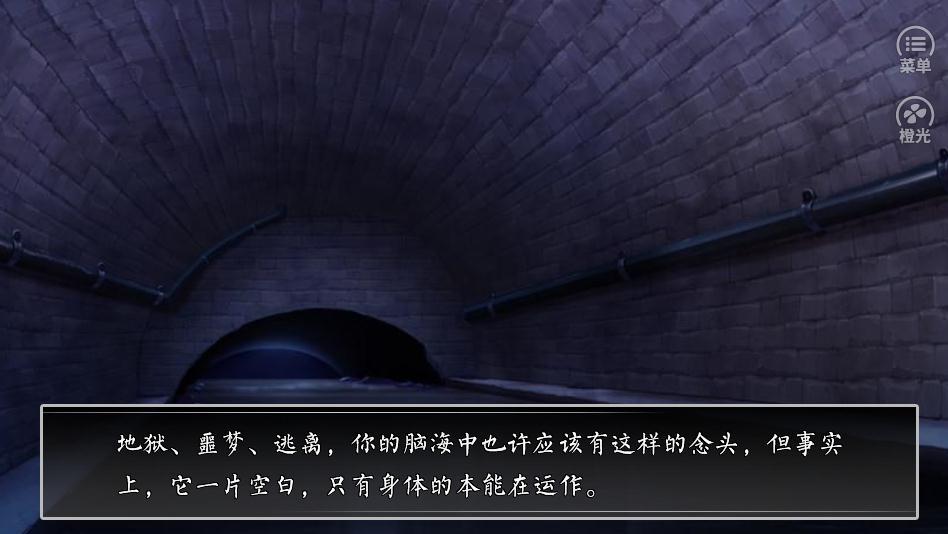 疯人院十日截图