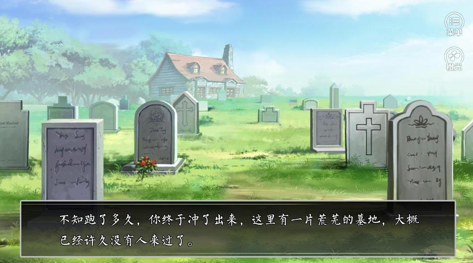 疯人院十日截图