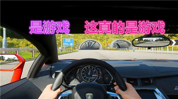真实开车模拟截图