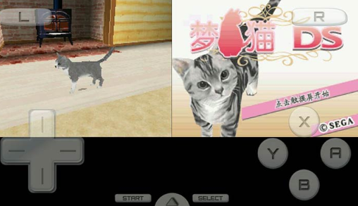 梦猫DS