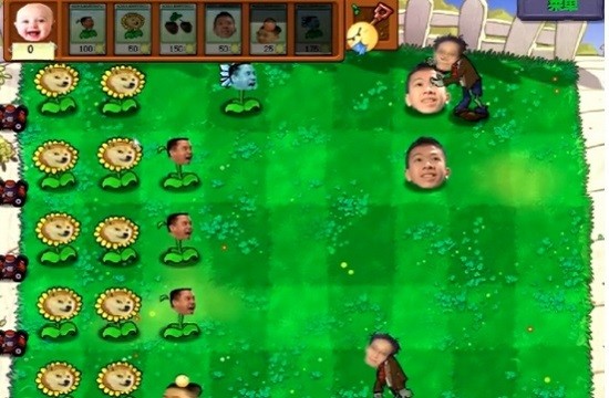 pvz全截图