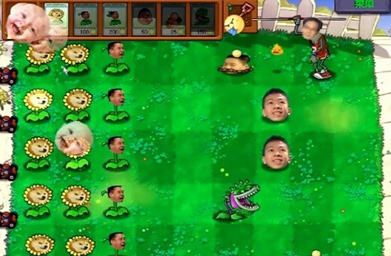 pvz全截图