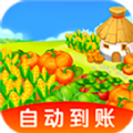 我家小菜园