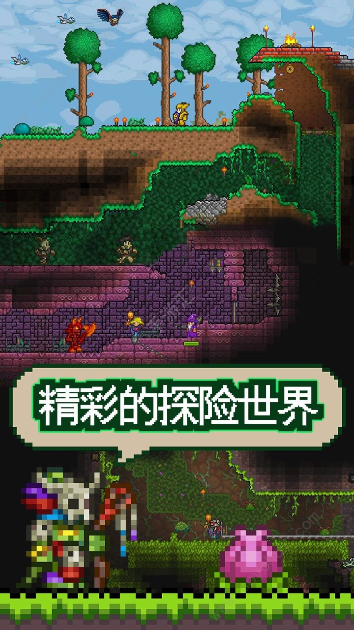 泰拉瑞亚2022截图