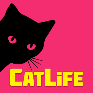 猫的生活