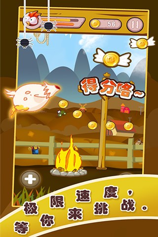 奔跑吧火鸡截图