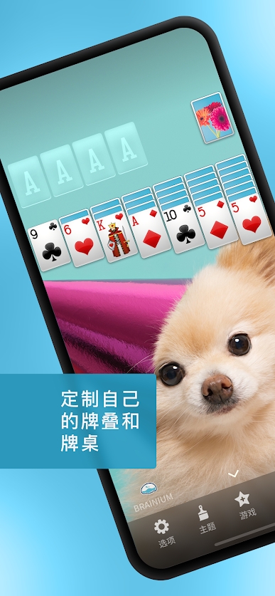 接龙截图