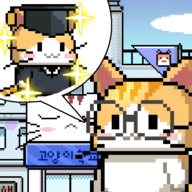 猫咪学校
