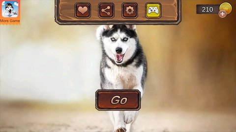 哈士奇模拟器截图