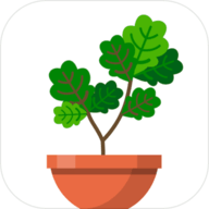 Terrarium