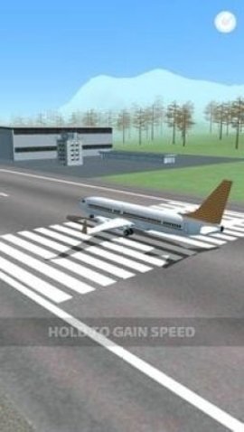 飞机失事3D截图