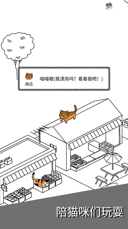 猫咪真的很可爱截图