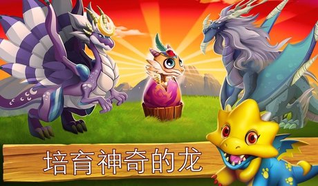 龙之国度截图