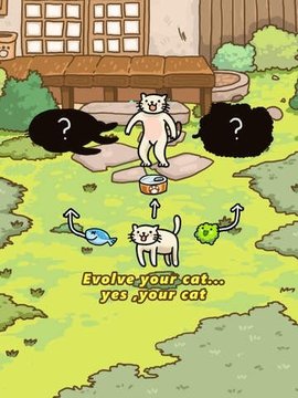 猫的进化世界截图
