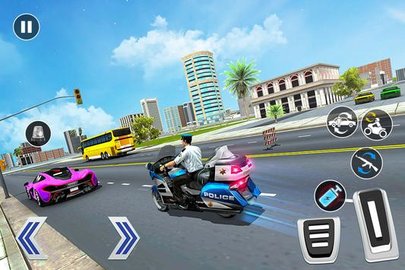 警方追查罪案截图