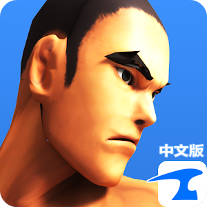 功夫之拳