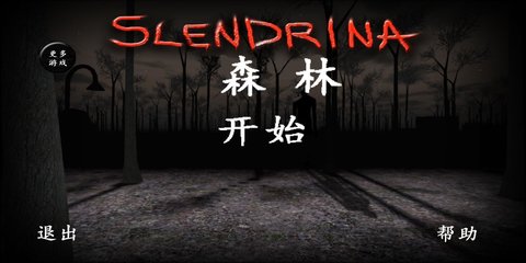 兰德里纳河的森林截图