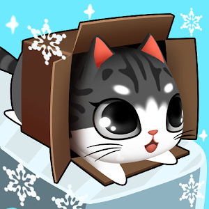 盒子里的猫