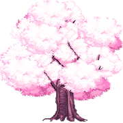 成长开花