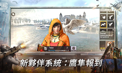 绝地求生lite截图